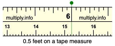 0.5 ft 2025 in cm