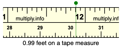 0.99 feet on a tape measure