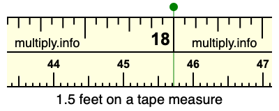 1.5 foot 2024 in cm