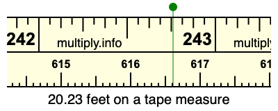 20.23 feet on a tape measure