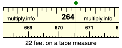 22 feet on a tape measure