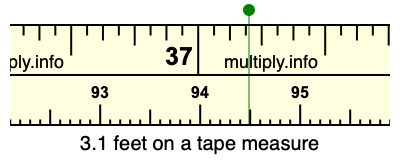 3.1 feet on a tape measure