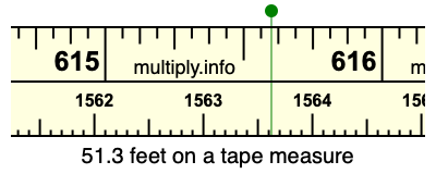 51.3 feet on a tape measure