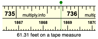61.31 feet on a tape measure