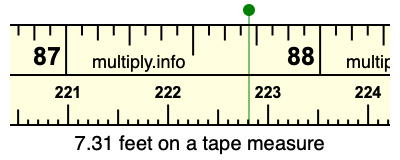 7.31 feet on a tape measure