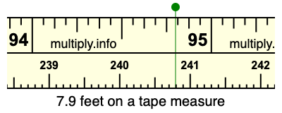 7.9 feet 2024 in cm