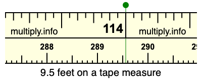 9.5 feet on a tape measure
