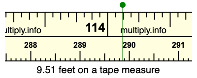 9.51 feet on a tape measure