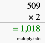 How to calculate 509 times 2 using long multiplication How to calculate 509 times 2 using long multiplication