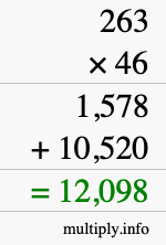 How to calculate 263 times 46 using long multiplication