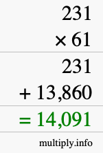 How to calculate 231 times 61 using long multiplication