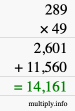 How to calculate 289 times 49 using long multiplication How to calculate 289 times 49 using long multiplication