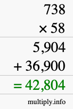 How to calculate 738 times 58 using long multiplication