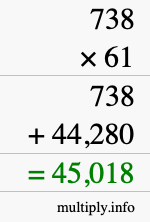 How to calculate 738 times 61 using long multiplication