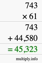 How to calculate 743 times 61 using long multiplication