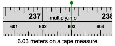 6.03 meters on a tape measure