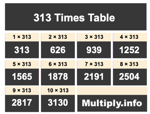 313 Times Table